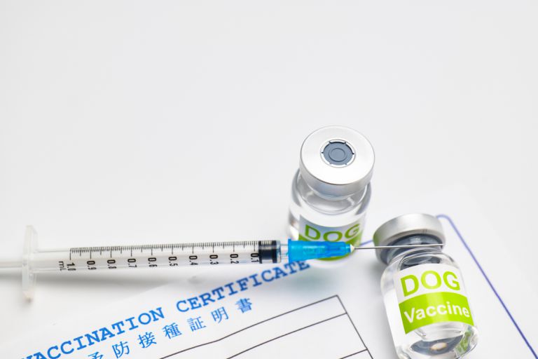 新宿の多彩な都市機能と安心を支える進化する医療インフラの今