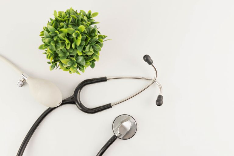 新宿の多様な暮らしと健康を支える都市型医療機関の進化と最前線